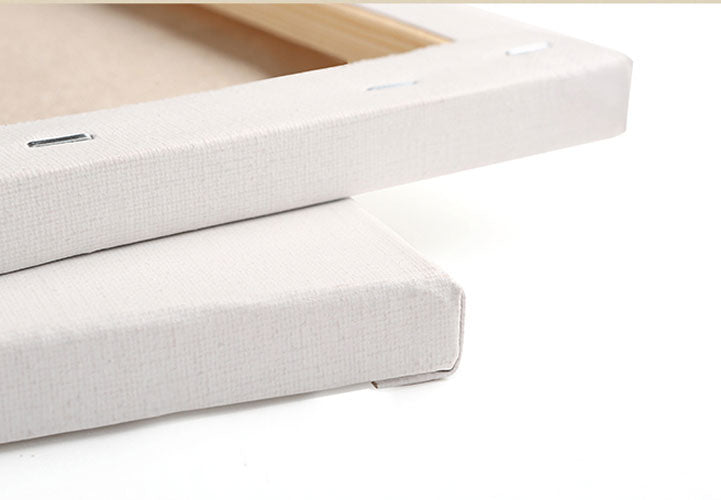 Stretched Triple Primed Artist Blank Canvas